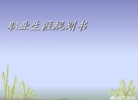 小公司高薪和大公司低薪，怎么选呢？