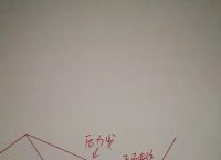 做期货只靠一个图形能稳固盈利吗？