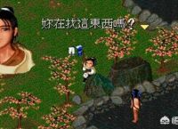 有人说《仙剑奇侠传》系列的游戏被盗版搞垮了，对此你怎么看？