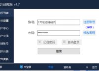 宝马进程包机使用教程,宝马IP,宝马包机