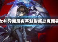 《女神异闻录夜幕魅影》新岛真图鉴