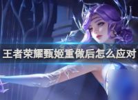 王者荣耀甄姬克星2024