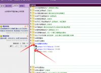 光速独享IP，单窗口单IP，使用教程