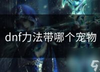dnf力法带哪个宠物