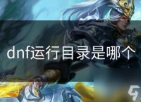 dnf运行目录是哪个