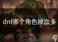 dnf哪个角色掉血多