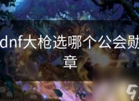 dnf大枪选哪个公会勋章