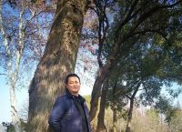 现在写文章发哪里可以挣稿费的？