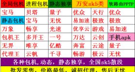 各种IP诚招代理.动态.静态.sk5.包机.价格全网最低.24小时售后（附各类IP注册连接）