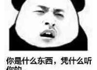 成年人到底能不能看动画？
