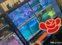 手动搬砖游戏工作室的建立与运营心得
