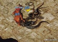热血服传奇中挣钱方法？