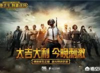 手游绝地求生是靠什么利润的？