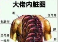 《地下城与勇士》真的是不充钱玩不了吗？