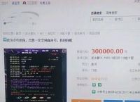 游戏《逆水寒》大佬花费百万养成的号，现在30万甩卖是何原因？