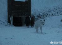 《权力的游戏》第八季完结，算是是史诗级烂尾吗？