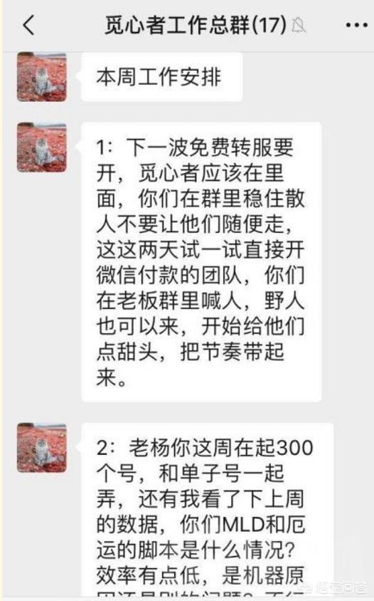 网曝觅心者服务器异常排队是工作室搞鬼，大量小号占用服务器资源，你怎么看？