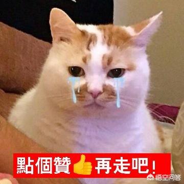 《第二银河》这款科幻类游戏，你怎么看？