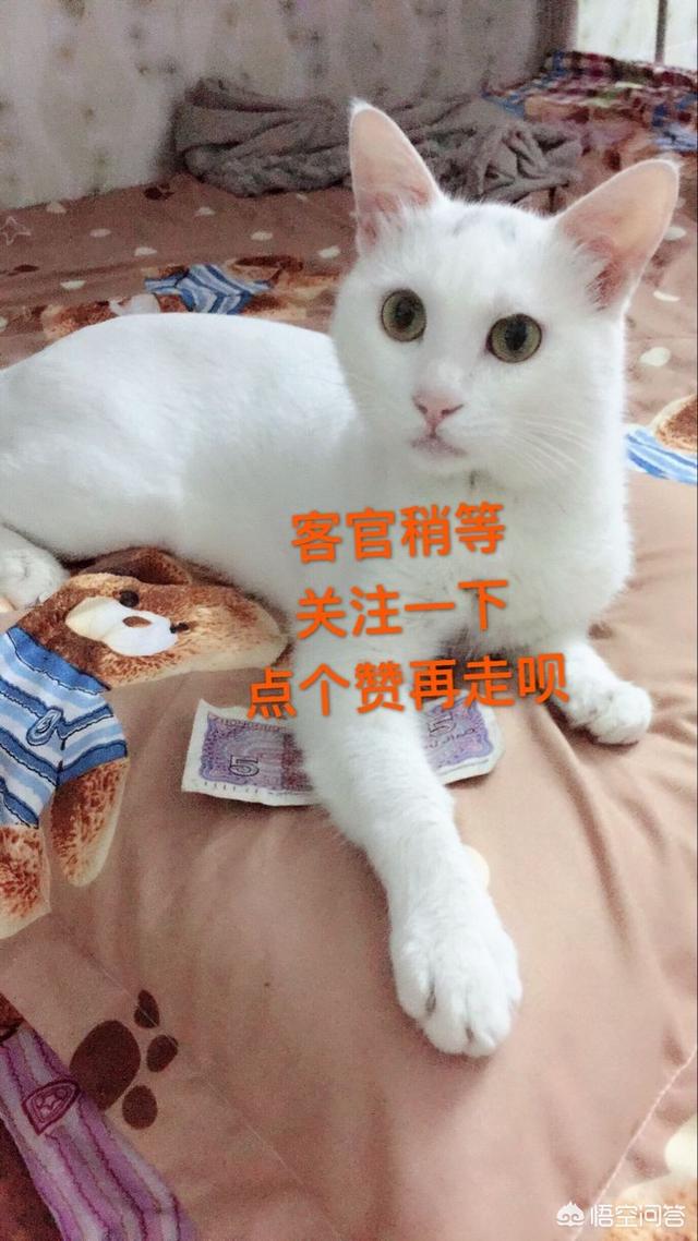 有什么游戏是不用投资就可以赚钱的？
