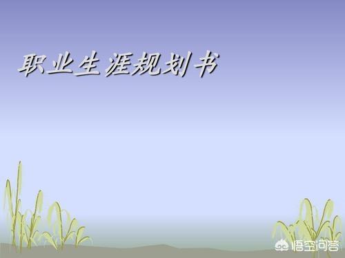 小公司高薪和大公司低薪，怎么选呢？