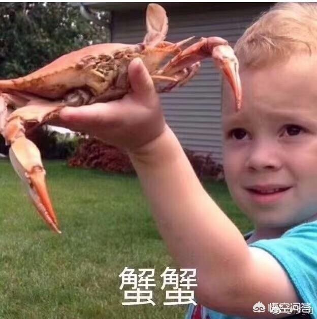 本来以为《权力的游戏》很烧脑，看后感觉很一般，是我不懂欣赏吗？