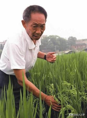 “脑力劳动”与“体力劳动”的区别? 到底是脑力劳动赚钱，还是体力劳动赚钱呢？