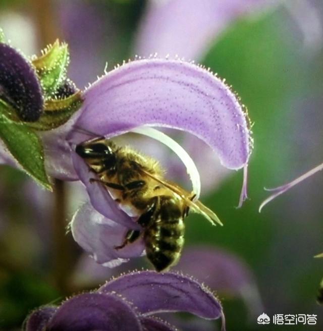 自媒体如何每天收入过千？