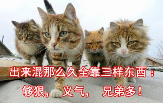 王国纪元怎么样？