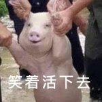 王国纪元怎么样？