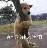 王国纪元怎么样？