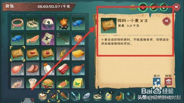 创造与魔法龟饲料怎么做？