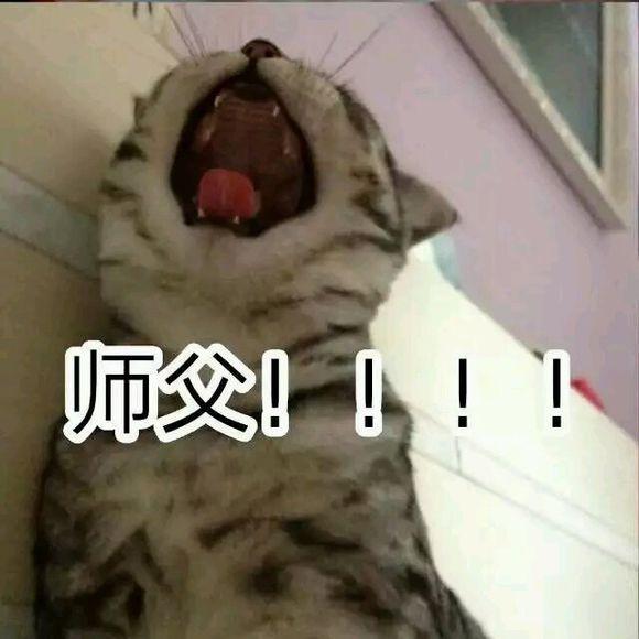 不氪也能成富豪！《神武4》手游平民赚钱指南