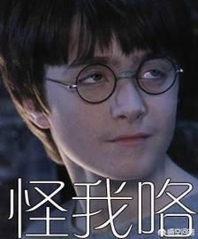 哈利波特和马尔福到底谁更有钱？