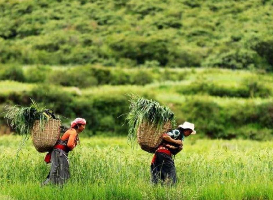 天之娇女范小冰的懵懵人生（下栠）