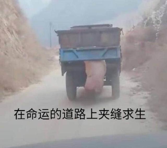 首批游戏版号竟没腾讯网易？刺激战场一直没法充钱，腾讯亏惨了？