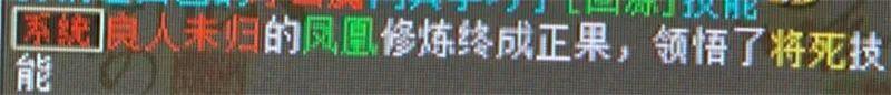 大话西游2：做职业玩家到底能挣钱吗？