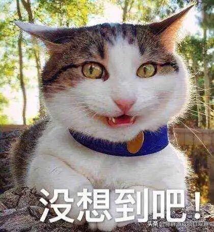 倩女幽魂手游赚钱思路，适合散人上班族，每天赚几十买肉吃香不香