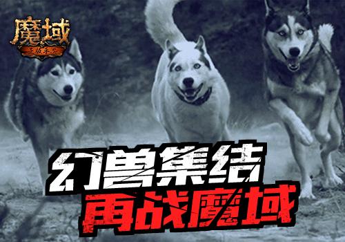 幻兽才是本体 全新《魔域手游》你不是一个人在战斗