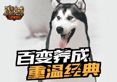 幻兽才是本体 全新《魔域手游》你不是一个人在战斗