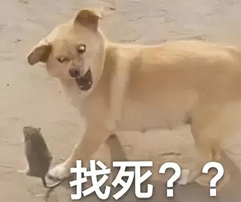 17年前人气碾压魔兽的热血江湖，宣传全靠骗？