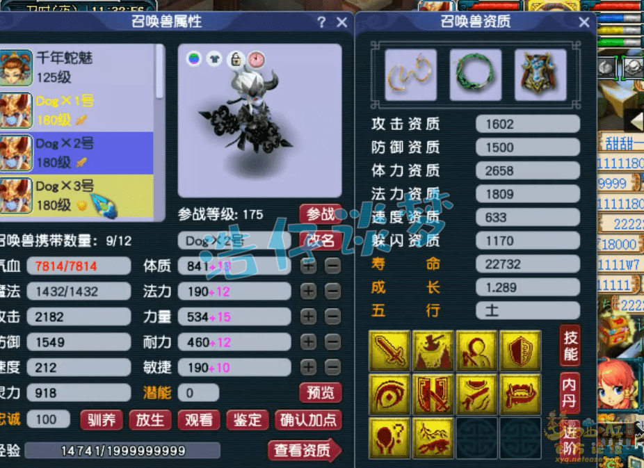 梦幻西游：175极品大唐，14+8超强硬件，国标点杀阵容的利器！