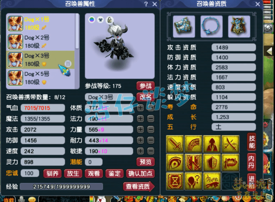 梦幻西游：175极品大唐，14+8超强硬件，国标点杀阵容的利器！