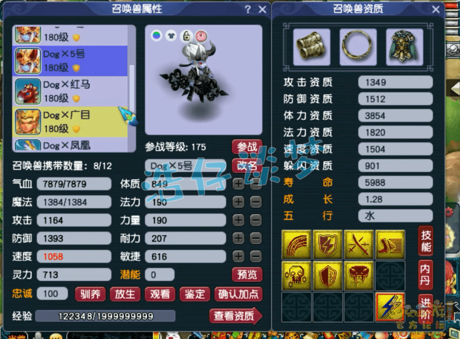 梦幻西游：175极品大唐，14+8超强硬件，国标点杀阵容的利器！